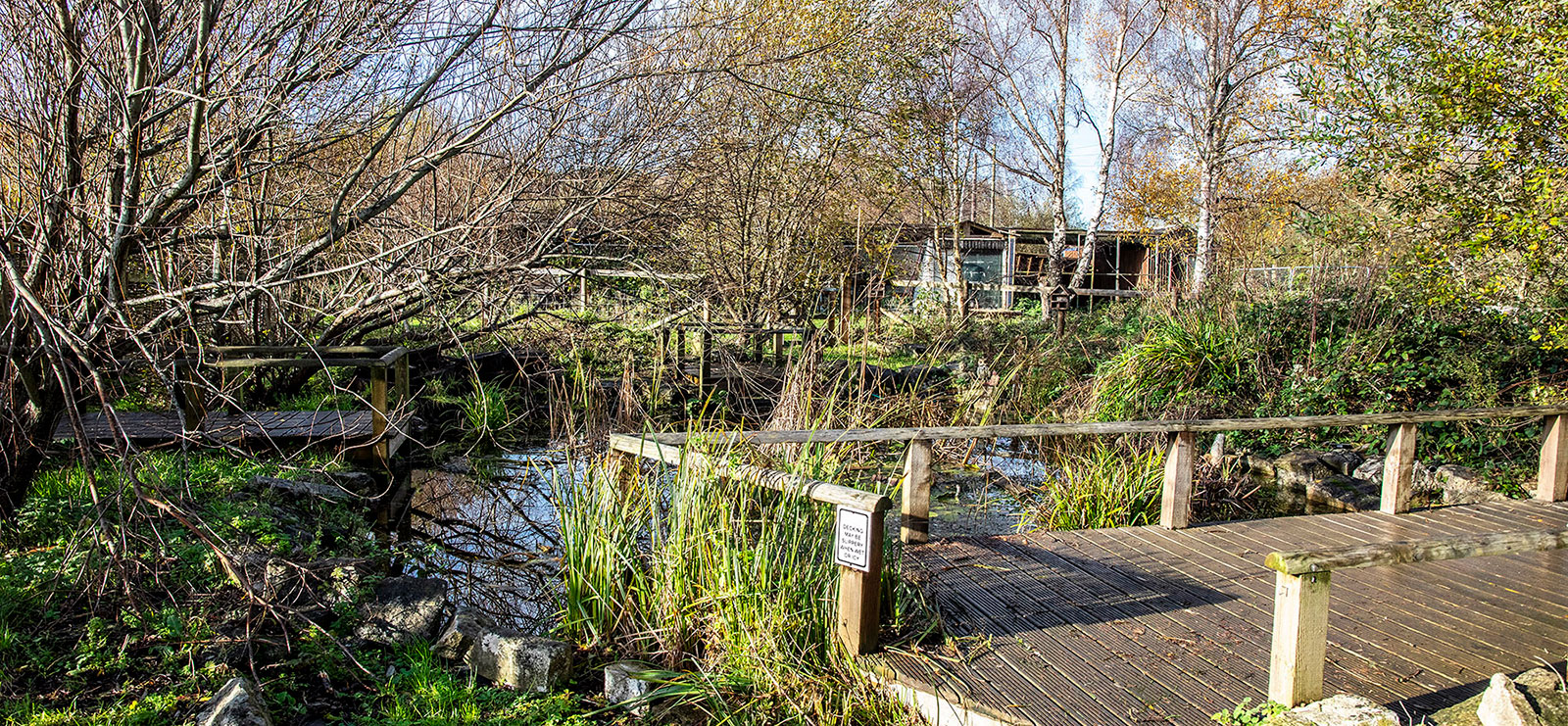 stable school christchurch